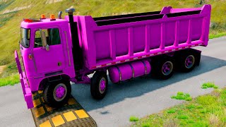 PROFESSIONAL Driver Puts CRAZY Speed Bumps to the Test in BeamNG drive [upl. by Acinoed]