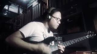 The Chastising Of Renegade  Primus Bass Cover [upl. by Liarret]