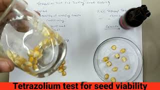 कैसे जाने की बीज जीवित है या नही।Tetrazolium Test For Testing Seed viability जीवन क्षमता परीक्षण [upl. by Benedic]