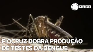 Fiocruz dobra produção de testes para diagnóstico de dengue [upl. by Dnomaid]