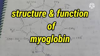 MyoglobinMb  structure and its function Bioinorganic Chemistry [upl. by Asiulana]