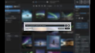 How to Use PromptSearch AI to Find Any Image in Your Catalog Excire Foto 2024 [upl. by Willa582]
