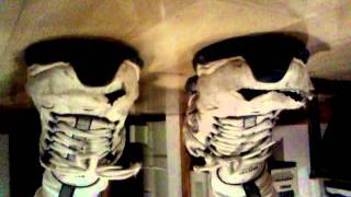 Skullfish tv presents i am a shoe [upl. by Nivk]