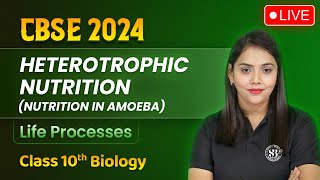 Heterotrophic Nutrition Nutrition in Amoeba  Life Processes Class 10 Biology  Shipra Mam [upl. by Hutchinson]