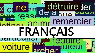 1500 Common French Words with Pronunciation [upl. by Einned]