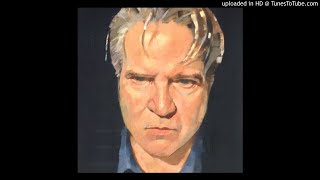 Lloyd Cole  When I Came Down from the Mountain [upl. by Anayra]