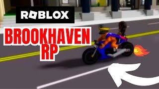 WE GOT STOPPED BY THE POLICE  BROOKHAVEN RP [upl. by Htezil]