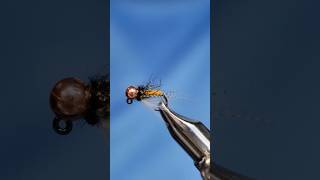 Sweet Meat Caddis [upl. by Anitnerolf872]