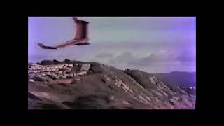 Brian Porter flying his modified Voyager hang glider at Fort Funston in 1988 [upl. by Nesahc150]