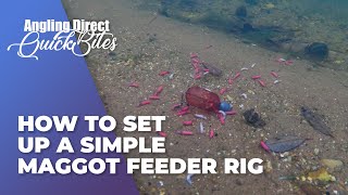 How To Set Up A Simple Maggot Feeder Rig Coarse Fishing Quickbite [upl. by Cohin]