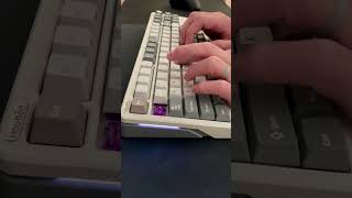 Akko Lavender Tactile Switches  ilovbee B87 TKL  Typing Test [upl. by Draned]