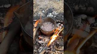 YOU should try outdoors survival bushcraft lifehack shorts [upl. by Llehsam223]