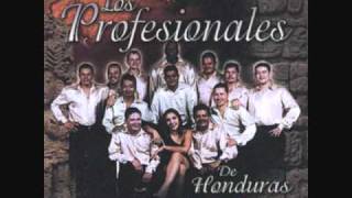 Cuca Cuquita  Los Profesionales de Honduras [upl. by Henrik]