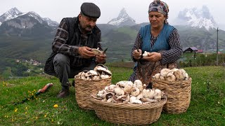 From the Mountain 🏔️ to the Table 🍽️ Mushroom 🍄 Season in the Mountains of Shahdag [upl. by Atterys]