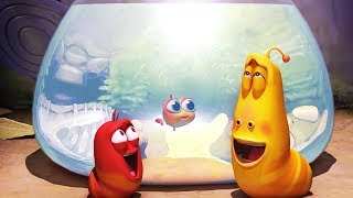 LARVA  AQUARIUM  Larva 2017  Cartoons  Comics  Larva Cartoon  LARVA Official [upl. by Colman]