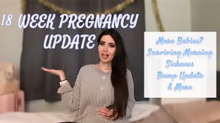 18 WEEK PREGNANCY UPDATE  BABY 4  More Babies Feeling baby How to deal with Morning Sickness [upl. by Wiggins433]