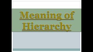 Meaning of Hierarchy  Study Material  Public Administration [upl. by Nitz]