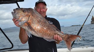 Rigging a pilchard bait [upl. by Culosio]