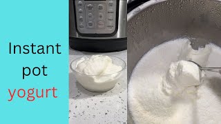 EASIEST homemade Yogurt Dahi  Instant pot recipe just 2 ingredients easyrecipe [upl. by Leelahk]