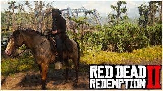 HOW TO GET ANY HORSE IN THE GAME FOR FREE  Red Dead Redemption 2 Tips amp Tricks [upl. by Zoba]