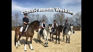 CLASSIC meets WORKING 2018  Pferd International 2018  Dressur vs Working Equitation [upl. by Mariejeanne]