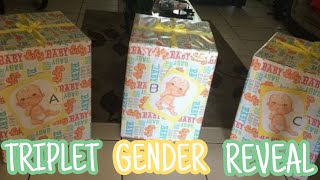 Triplets Gender Reveal [upl. by Banky879]