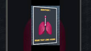 Name that lung sound medicaleducation respiratorymedicine lungsounds auscultation medical quiz [upl. by Donough]