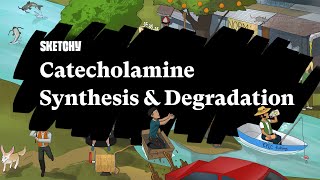 Catecholamine Synthesis amp Degradation Part 1  Sketchy Medical  USMLE Step 1 [upl. by Sewell]