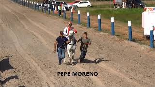 CORRIDA DE CAVALOS PEPE MORENO X RUBI [upl. by Vinnie]