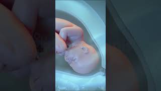 Amazing Natural Child Birth in 3D  Giving Birth to a Baby pregnancy baby animation [upl. by Viki580]