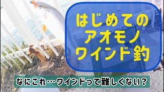 北海道 はじめてのワインドで青物を釣る事ができるのだろうか？ [upl. by Fusco2]