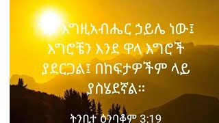 Sarem ሣሬም Tube is liveኑ እንደማመር በቅንነት [upl. by Ydissahc]