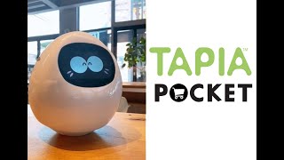 タピアとおしゃべり！ コミュニケーションロボット Tapia Pocket [upl. by Kcub]