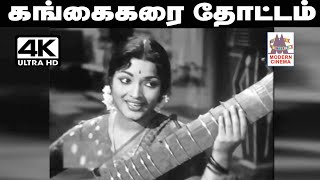 ஆனந்த ராகம்  Isaiyendral Ilaiyaraaja  Madurai  ilaiyaraaja  Noise and Grains [upl. by Htebaile]