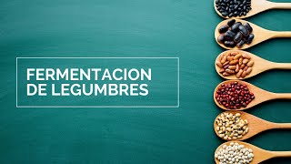 Como Fermentar legumbres y tener proteína económica muy económica [upl. by Anerom]