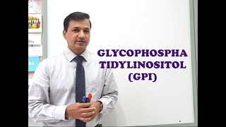 Glycophosphatidylinositol GPI  A Quick Review [upl. by Clovis]