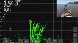 Crappie Fishing with LiveScope Plus FullScreen LiveScope Throughout Lake Darbonne  Trip 4 [upl. by Cleres]