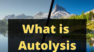 what is autolysis autolysis shorts lysosomes [upl. by Comras921]