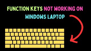 How to Fix Function Keys Not Working on Windows 11 [upl. by Natalee]