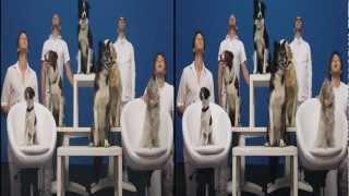 OK Go  White Knuckles  Official 3D Video [upl. by Nyberg]