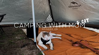 Camping with Two Shy Cats  Physis Beach Campsite Sedili  Teepe Tent Beach Camp Malaysia [upl. by Pillow]