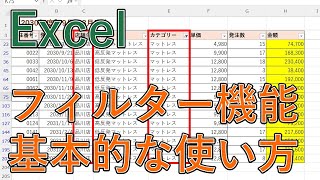 Excelのフィルター機能の使い方（設定・解除）【ショートカットキーあり】 [upl. by Jermaine]