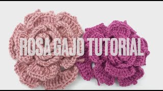 Rosa Gajo a Crochet Tutorial [upl. by Gnilhsa]