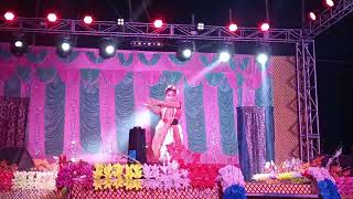 dolara dolara dola Raj dance gurop 8250444958 [upl. by Aleet294]