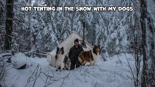 Hot Tenting In The Snow With My Dogs [upl. by Kitty]