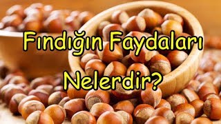 Fındığın Faydaları Nelerdir [upl. by Orban]