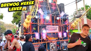 NEKEK LEHER😱‼️BREWOG AUDIO NGAMUK PAKEK DJ INI DI KARNAVAL [upl. by Rosalia466]