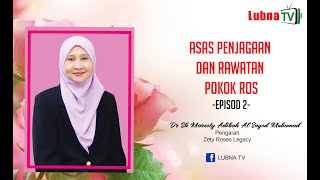 ASAS PENJAGAAN DAN RAWATAN POKOK ROS  EPISOD 2 [upl. by Doughman]