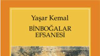 Yaşar kemal🌺Binboğalar efsanesi🌺 PART 9 roman seslikitap yaşarkemal чтение [upl. by Amelia]