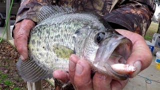 Crappie Fishing With A Bobber and Live Minnows [upl. by Weinman]